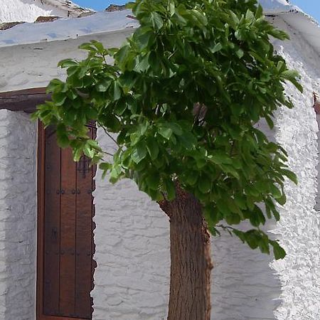 Casa El Rincon Del Angel Villa Bubión Oda fotoğraf